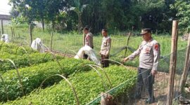 Bhabinkamtibmas Polsek Berbek tinjau lahan pekarangan warga