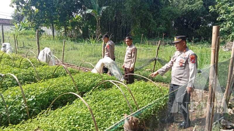 Bhabinkamtibmas Polsek Berbek tinjau lahan pekarangan warga