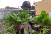 Bhabinkamtibmas Polsek Sumbersari sambangi lahan pekarangan warga