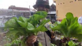 Bhabinkamtibmas Polsek Sumbersari sambangi lahan pekarangan warga