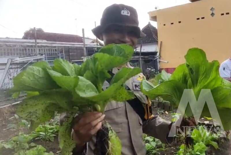 Bhabinkamtibmas Polsek Sumbersari sambangi lahan pekarangan warga