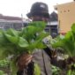 Bhabinkamtibmas Polsek Sumbersari sambangi lahan pekarangan warga