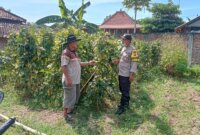 Bhabinkamtibmas tinjau pemanfaatan lahan kosong milik warga