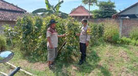 Bhabinkamtibmas tinjau pemanfaatan lahan kosong milik warga