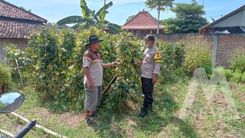 Bhabinkamtibmas tinjau pemanfaatan lahan kosong milik warga