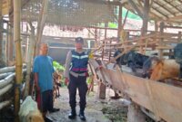 Bhabinkamtibmas tinjau peternakan warga