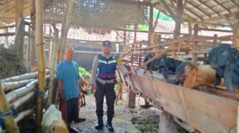 Bhabinkamtibmas tinjau peternakan warga