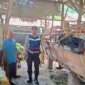 Bhabinkamtibmas tinjau peternakan warga