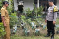 Bhabinkamtibmas Polsek Prambon cek tanaman terong dan cabai milik warga