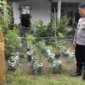 Bhabinkamtibmas Polsek Prambon cek tanaman terong dan cabai milik warga