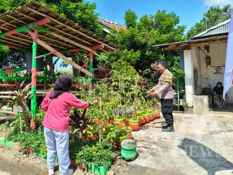 Bhabinkamtibmas cek lahan pekarangan warga