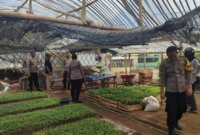 Polsek Kertosono dukung ketahanan pangan saat tinjau tanaman warga