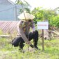 Kapolres Gresik AKBP Rovan Richard Mahenu