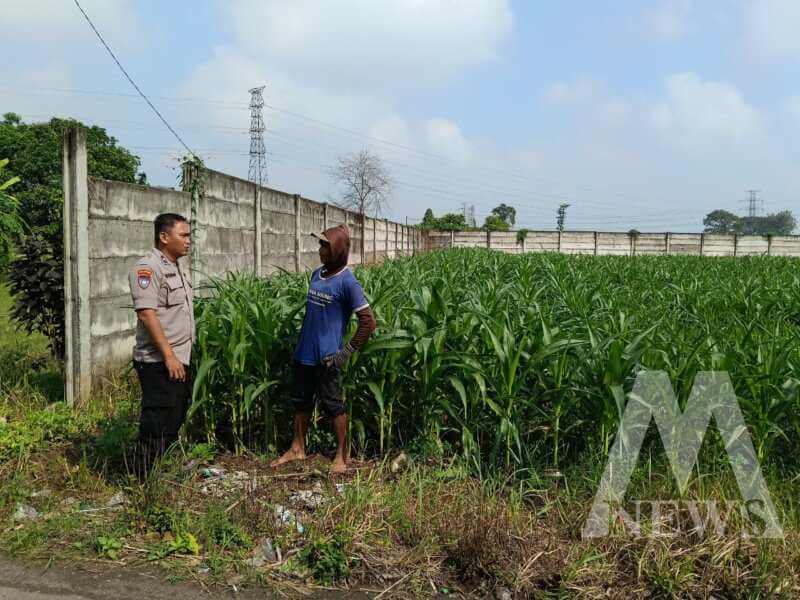 Bhabinkamtibmas Polsek Kertosono manfaatkan lahan tidur