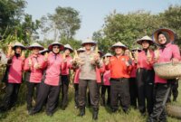 Kepala SPN Polda Jatim Kombespol Agus Wibowo saat panen raya jagung