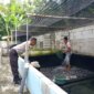 Bhabinkamtibmas sambangi budidaya lele dan nila milik warga
