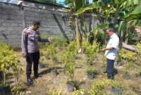 Bhabinkamtibmas sambangi lahan tanaman cabe milik warga