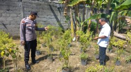 Bhabinkamtibmas sambangi lahan tanaman cabe milik warga