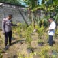 Bhabinkamtibmas sambangi lahan tanaman cabe milik warga