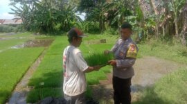 Bhabinkamtibmas Polsek Ngronggot serahkan benih padi ke warga