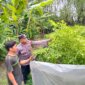 Bhabinkamtibmas Polsek Gondang tinjau budidaya cabai merah