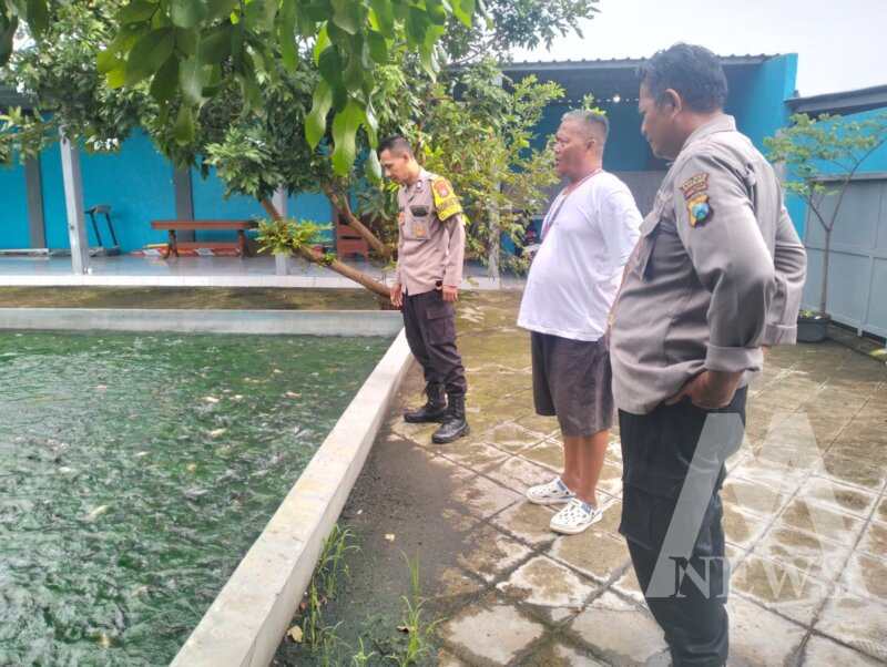 Bhabinkamtibmas Polsek Sukomoro pantau budidaya ikan nila milik warga Pehserut