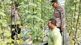 Polsek Warujayeng apresiasi budidaya melon