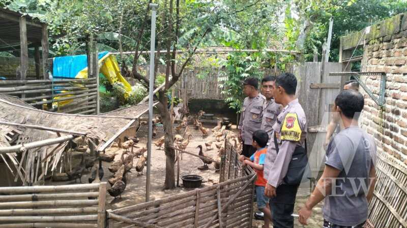 Bhabinkamtibmas tinjau peternak Bebek