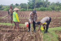 Bhabinkamtibmas Polsek Sukomoro pantau pemanfaatan pekarangan warga