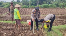 Bhabinkamtibmas Polsek Sukomoro pantau pemanfaatan pekarangan warga