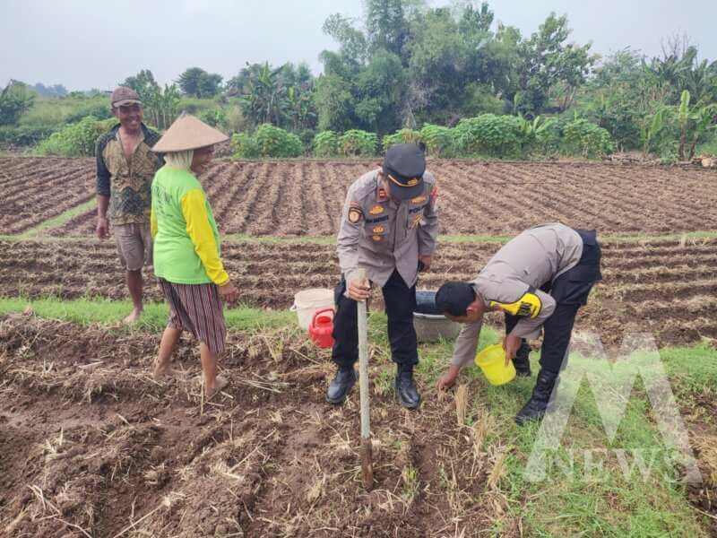 Bhabinkamtibmas Polsek Sukomoro pantau pemanfaatan pekarangan warga