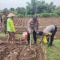 Bhabinkamtibmas Polsek Sukomoro pantau pemanfaatan pekarangan warga