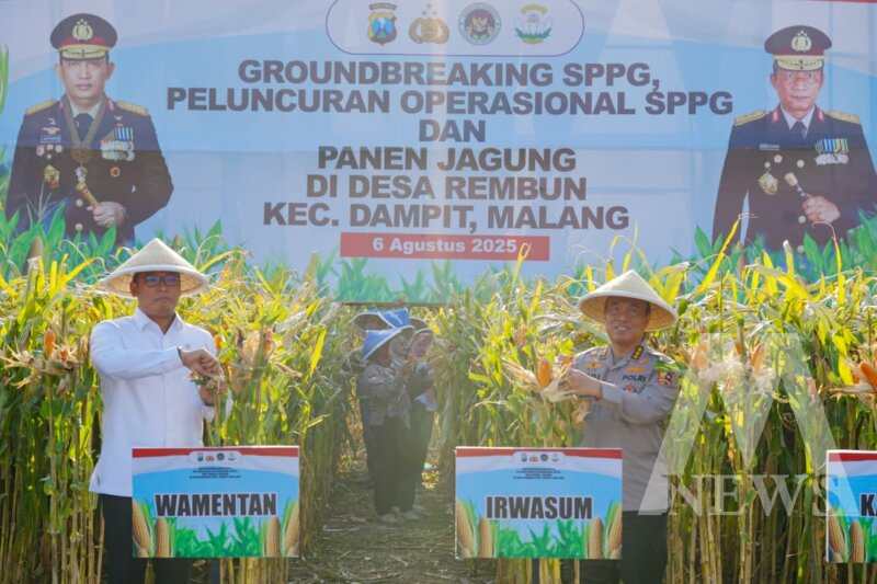 Irwasum Polri Komjen Pol. Prof. Dr. Dedi Prasetyo saat panen jagung