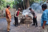 Polsek Balongbendo bongkar arena sabung ayam di Sidoarjo