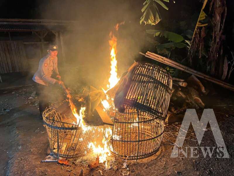 Polres Malang bakar alat judi sabung ayam