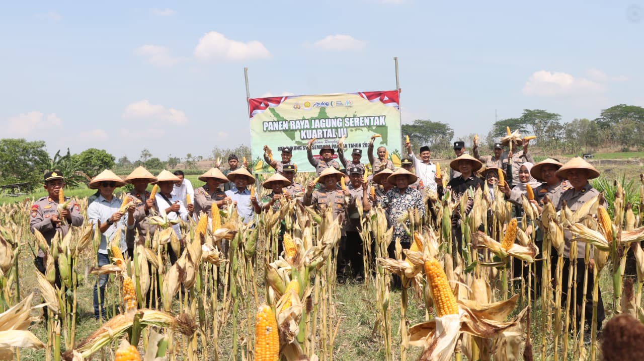 Polres Nganjuk Panen Raya Jagung