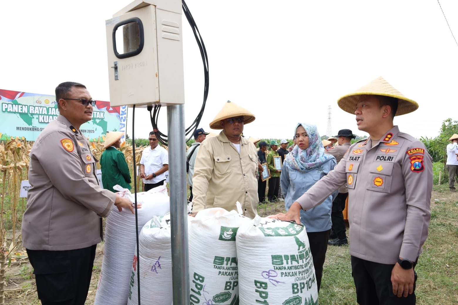 Kapolres Tulungagung AKBP Muhammad Taat Resdi saat panen raya jagung