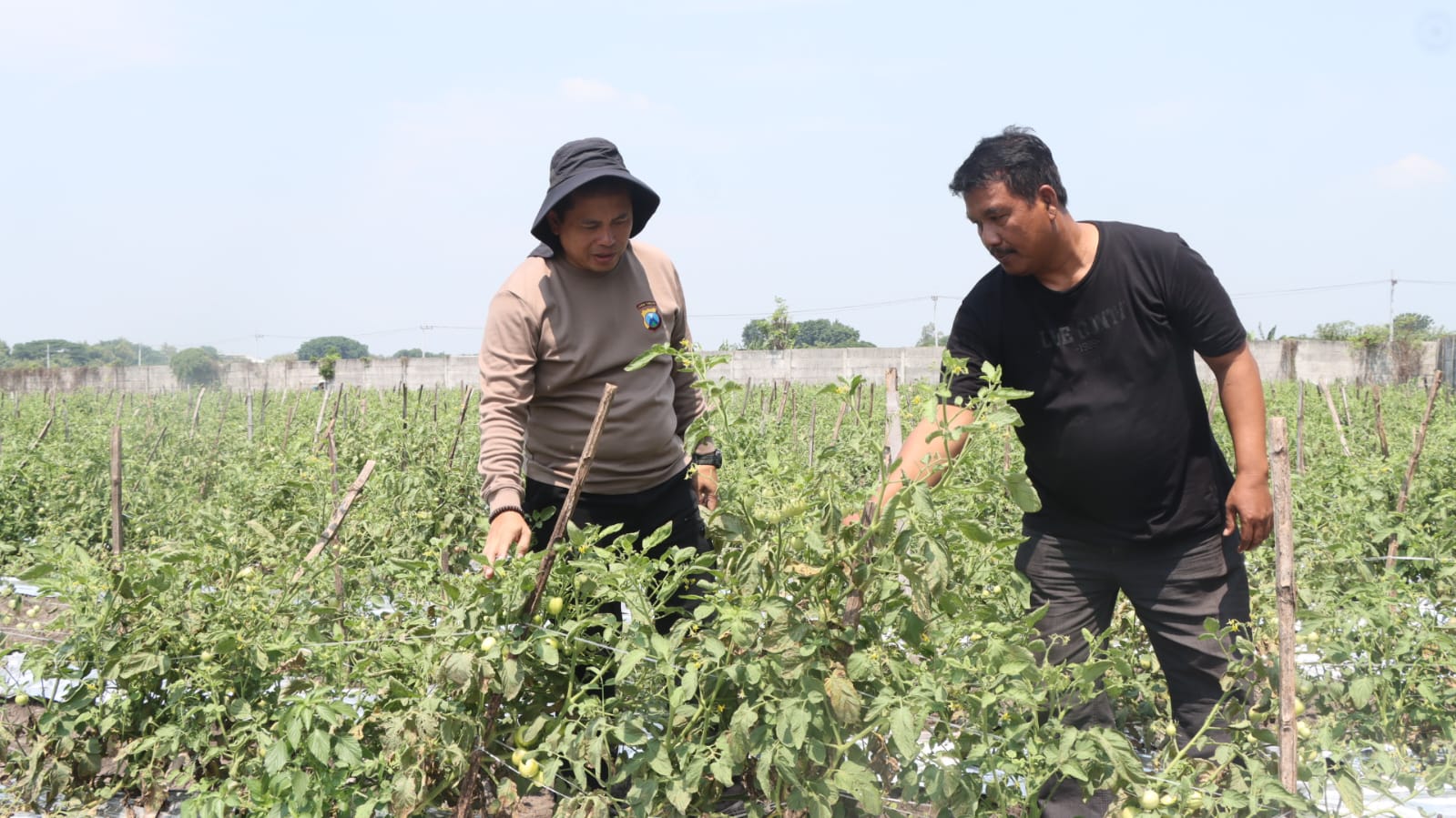 Kapolres Nganjuk AKBP Henri Noveri Santoso saat tinjau tanaman