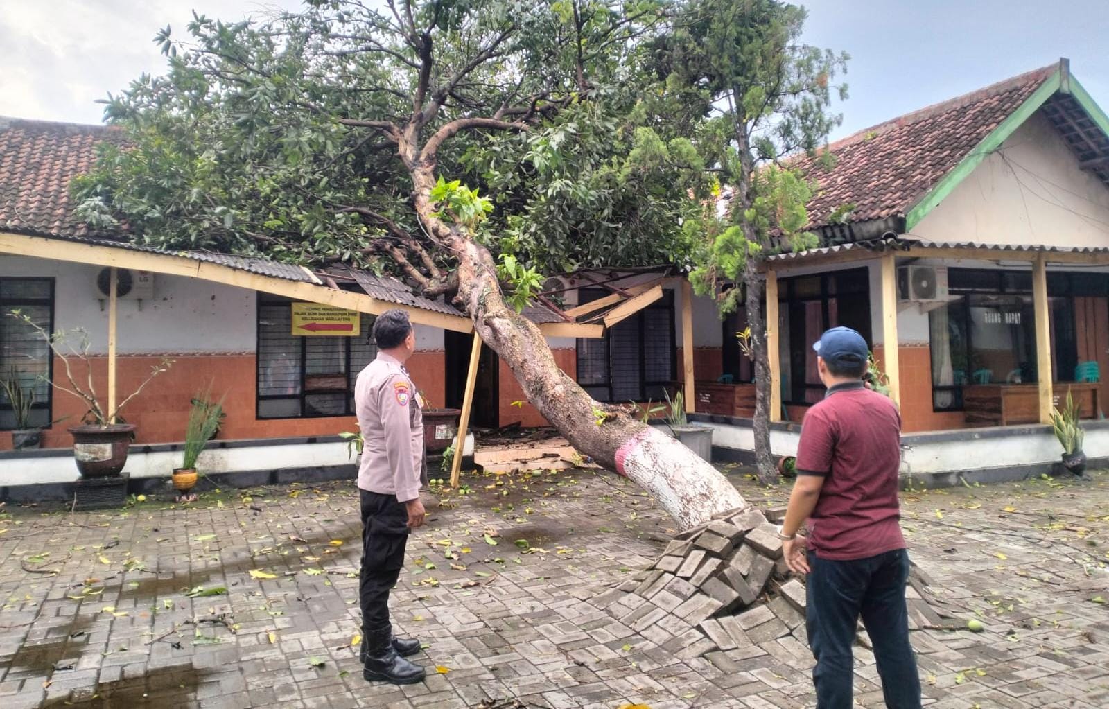Polsek Warujayeng evakuasi pohon tumbang