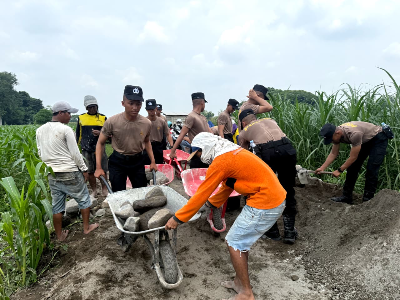 Siswa Diktukba SPN Polda Jatim bantu bangun jalan