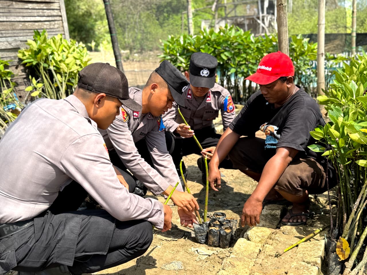Siswa Diktukba SPN Polda Jatim tanam Mangrove
