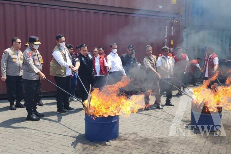 Pemusnahan bawang bombay ilegal