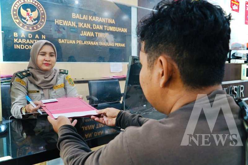 Karantina Jatim layani 24/7 saat Nataru