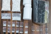 Pelaku beserta barang buktinya diamankan Polisi