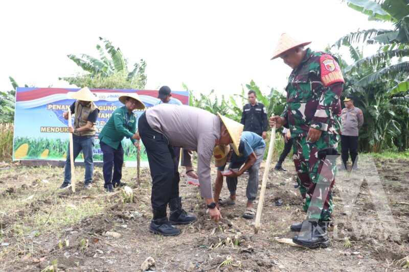 Polres Pelabuhan Tanjung Perak tanam jagung bersama Poktan dan Bulog