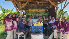 Polsek Kenjeran panen jagung di lahan Tambak Wedi