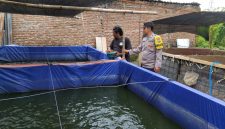 Polres Ngawi dampingi warga budidaya ikan lele