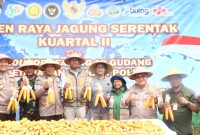 Polres Pelabuhan Tanjung Perak Surabaya Panen Raya Jagung