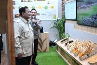 Presiden RI Prabowo Subianto tinjau hasil panen