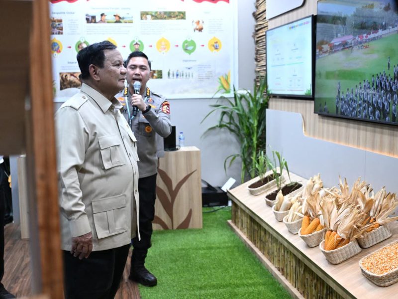 Presiden RI Prabowo Subianto tinjau hasil panen